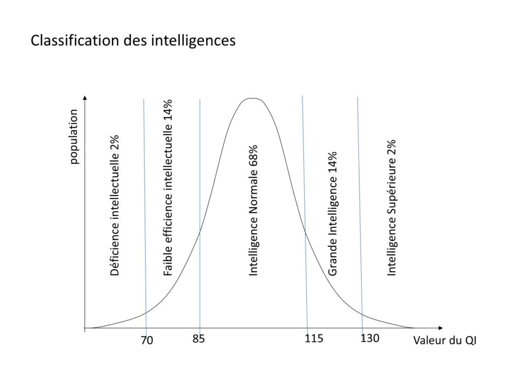 répartition de la classification des intelligences