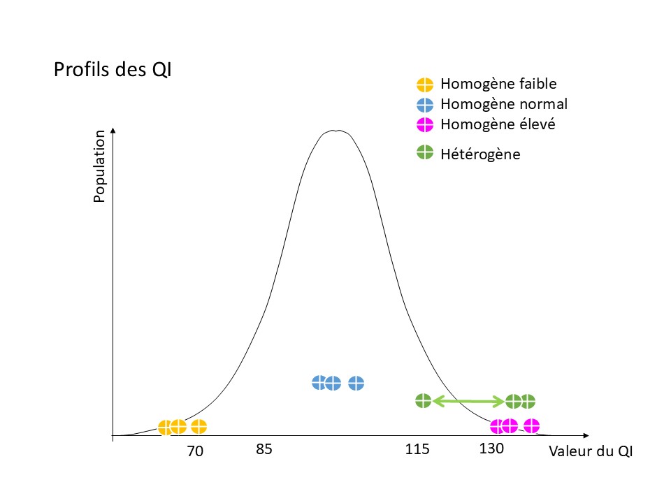 courbe de Gauss représentant les profils homogène ou hétérogène